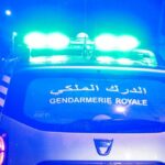 أكادير: حظر كامل على جمع وتسويق الصدفيات في هذه المناطق