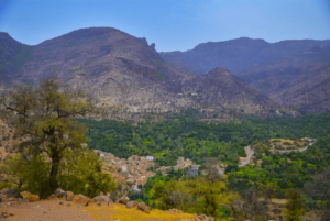 montazhe