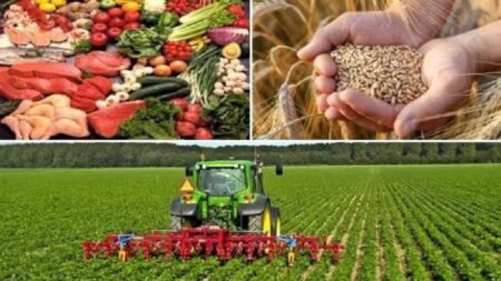 الحكومة المغربية، و الأمن الغذائي للمغاربة.