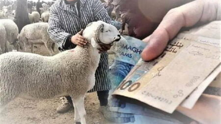 عيد الأضحى في المغرب: مخاوف من ارتفاع الأسعار رغم الاستيراد، وسط استياء المواطنين.