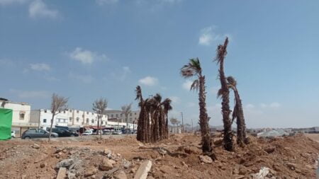 شوهة وبالصور: التأهيل الحضري ل"ميراللفت" بنخل ميت مثبت بالجبص.