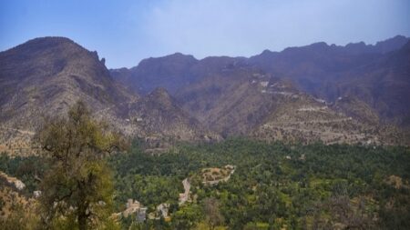 نشطاء من سوس يحشدون لأشكال احتجاجية بالرباط ضد إحداث المنتزه الطبيعي نشطاء من سوس يحشدون لأشكال احتجاجية بالرباط ضد إحداث المنتزه الطبيعي