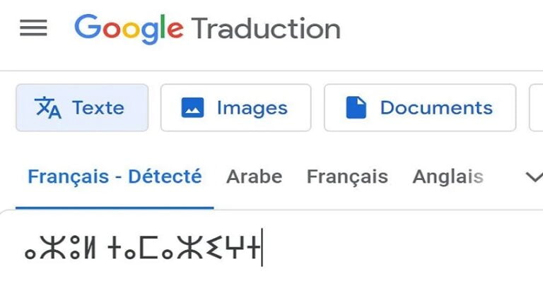 إدراج اللغة الأمازيغية في خدمة ترجمة كوكل: خطوة هامة نحو تعزيز الهوية الثقافية