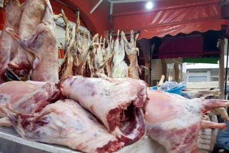 مهنيون يرمون كرة غلاء أسعار اللحوم في مرمى وزارة الفلاحة، وسط توقعات بمزيد من الغلاء