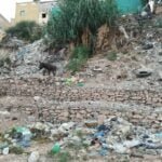 أكادير : منتزه الانبعاث يطاله الإهمال والتهميش، ومواطنون ينشدون التفاتة من الجهات الوصية