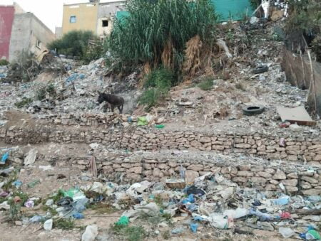 أكادير : الأزبال والنفايات بواد الجمعة تثير قلق ساكنة “لاريب”، وسط مطالب بتدخل الجهات الوصية أكادير : الأزبال والنفايات بواد الجمعة تثير قلق ساكنة "لاريب"، وسط مطالب بتدخل الجهات الوصية