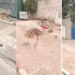 تفضيلات الإستثمار في تزنيت: بين الشفافية والتمييز.