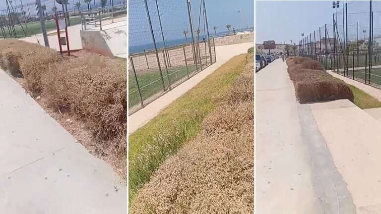 أكادير : مواطنون يطلقون نداء لإنقاذ المجال الأخضر بكورنيش أنزا