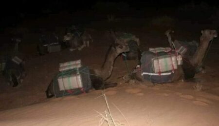 عملية نوعية تحبط تهريب كميات من المخدرات بواسطة الجمال عملية نوعية تحبط تهريب كميات من المخدرات بواسطة الجمال