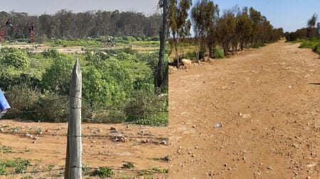 مشروع ملعب ومرافق في غابة موانو بتزنيت: جدوى حقيقية أم غطاء لاستغلال تجاري؟ مشروع ملعب ومرافق في غابة موانو بتزنيت: جدوى حقيقية أم غطاء لاستغلال تجاري؟