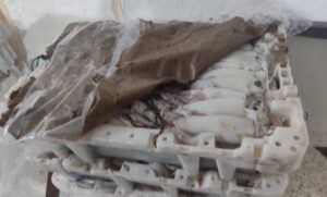 إحباط محاولة تهريب طن من الكلمار من طرف مركب الصيد الساحلي بالجر. 1 IMG 5633