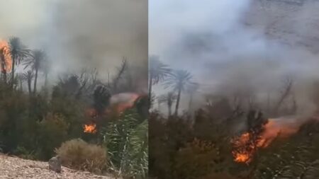 سوس ماسة : اندلاع حريق مهول بواحة معروفة بطاطا، مخلفا خسائر فادحة. سوس ماسة : اندلاع حريق مهول بواحة معروفة بطاطا، مخلفا خسائر فادحة.