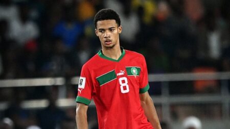 نجم المنتخب الوطني أمير ريتشاردسون ينضم إلى نادي فيورنتينا.