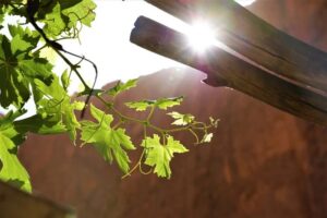 توقعات أحوال الطقس الأربعاء بالمغرب 4 climat