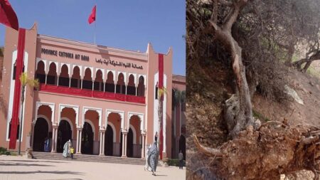 مطالب بفتح تحقيق في "مجزرة بيئية" باشتوكة أيت باها.