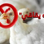 فعاليات نقابية تنتفض ضد الاعتداء على أطر صحية داخل مركزين صحييْن