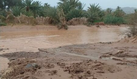 طاطا : جماعة تمنارت تصدر بلاغا رسميا بعد الأمطار الرعدية، والرئيس يوضح.
