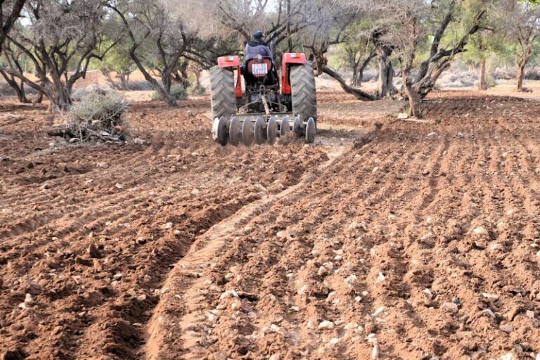 بعد سنوات الجفاف… الأمطار تمنح الفلاحين جرعة أمل وتبعد شبح العطش عن المناطق المتضررة