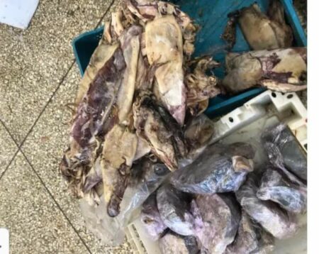 اشتوكة : حجز أسماك وطماطم فاسدة خلال تفتيش محل للمأكولات الجاهزة اشتوكة : حجز أسماك وطماطم فاسدة خلال تفتيش محل للمأكولات الجاهزة