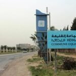 بعد الكلاب، حمير ضالة تحتل شوارع أكادير