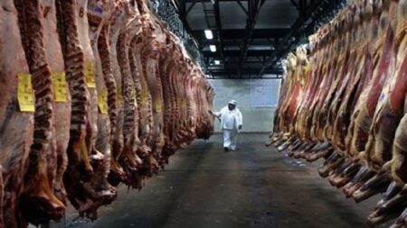 الحكومة تلجأ لاستيراد اللحوم المذبوحة من أزيد من 14 دولة الحكومة تلجأ لاستيراد اللحوم المذبوحة من أزيد من 14 دولة