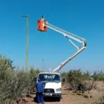 فكما أحرقت رمال الصحراء رجلي شنقريحة، فجبال الرّيف ستدمي يديه.