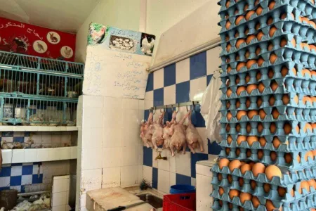العدالة والتنمية يدعو مجلس المنافسة إلى التحقيق في شبهة التواطؤ لرفع أسعار الدواجن والبيض
