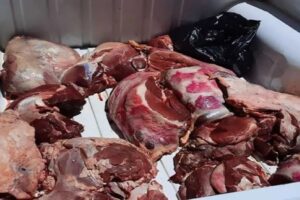 تفتيش مطعم يسفر عن حجز كميات من اللحوم الفاسدة، وهذا ما تقرر في حق صاحبه 9 Viande