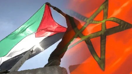 المغرب يجدد تأكيده على دعم القضية الفلسطينية المغرب يجدد تأكيده على دعم القضية الفلسطينية