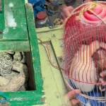 إقصاء مقاولات مغربية من صفقات عمومية تحت مجهر مفتشي المالية