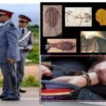إنزكان : تفكيك عصابة إجرامية خطيرة بالتمسية