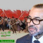 حماة المستهلك يحذرون من ممارسات الغش في زيت الزيتون