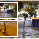 زلزال يضرب جزر تونغا في جنوب المحيط الهادئ