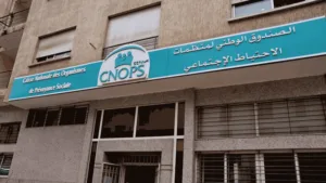 تحسن في آجال معالجة ملفات الصندوق الوطني لمنظمات الاحتياط الاجتماعي (وزيرة)