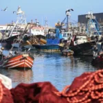 أسبوع ” المغرب” بجمهورية العسكر الجزائري.