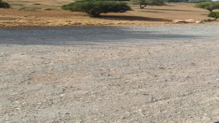 سيدي إفني: "طريق الموت" تواصل حصد أرواح الأبرياء رغم تنبيهات المواطنين وفعاليات المجتمع المدني