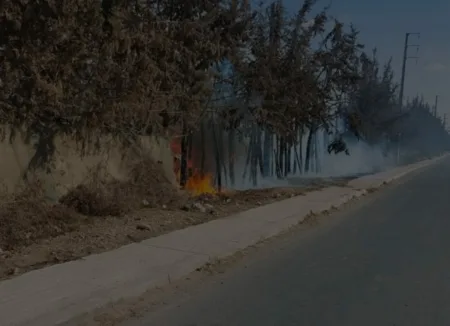 اندلاع حريق مهول في ضيعة فلاحية ضواحي أكادير