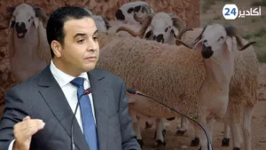 حكومة أخنوش توضح بخصوص جدل “إلغاء عيد الأضحى”