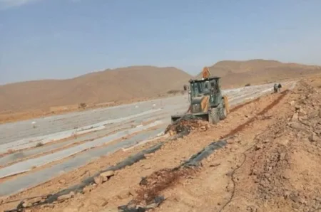 سلطات زاكورة تباشر إتلاف مساحات من البطيخ “غير القانوني” سلطات زاكورة تباشر إتلاف مساحات من البطيخ "غير القانوني"