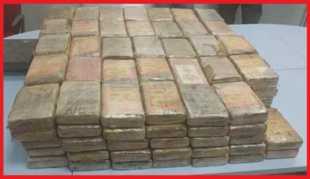 إحباط محاولة تهريب دولي للكوكايين بمعبر الكركارات الحدودي