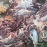 أكادير: غلاء الأسعار يعمق معاناة الطلاب الجامعيين ويهددهم بالانقطاع عن الدراسة