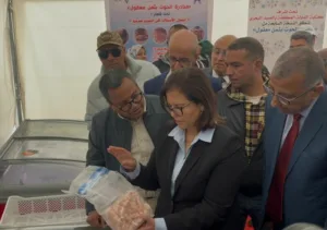 “الحوت بثمن معقول” يعود في رمضان لتوفير الأسماك بأسعار مناسبة