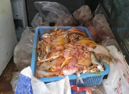 تفتيش مطعم يسفر عن حجز كميات كبيرة من السمك الفاسد