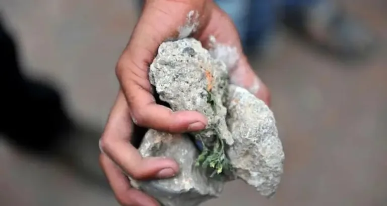 رشق طائش بالحجارة يخلف وفاة تلميذ واعتقال 15 شخصا