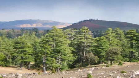 المغرب يتصدر الترتيب في الأداء البيئي، وسط توقعات ببلوغ أهدافه الطاقية بحلول سنة 2030
