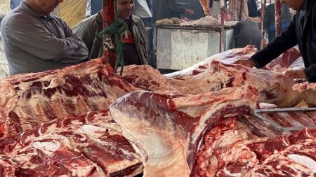 عيد بلا ذبح.. ولكن الأسعار تذبح الجيوب!‎