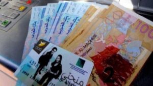 وزارة التعليم العالي تدرس صرف المنح الجامعية شهريًا وتكشف نسب الاستفادة 3 Bourses universitaires