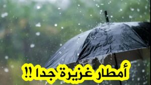 إفريقيا على حافة كارثة: توقعات بأمطار غزيرة وفيضانات تهدد الملايين 7 IMG 20250404 WA0142