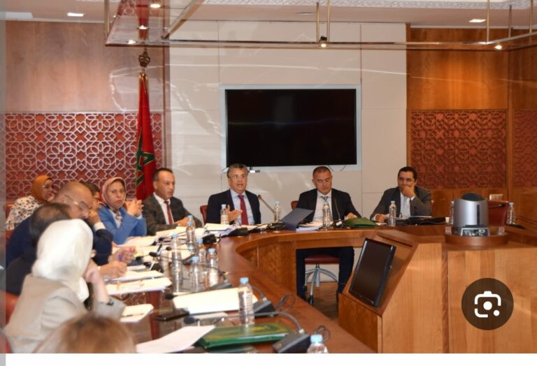 صرخة مواطن مغربي لرئيس لجنة العدل والتشريع: وقائع ظلم وتجاوزات تستدعي التحقيق والإنصاف