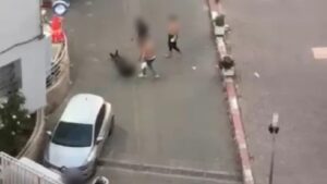مطالب تشديد العقوبات على حمل السلاح الأبيض واستخدامه في الجرائم 6 IMG 172716